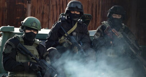Plate carrier Pantsir Pro - Ảnh 2