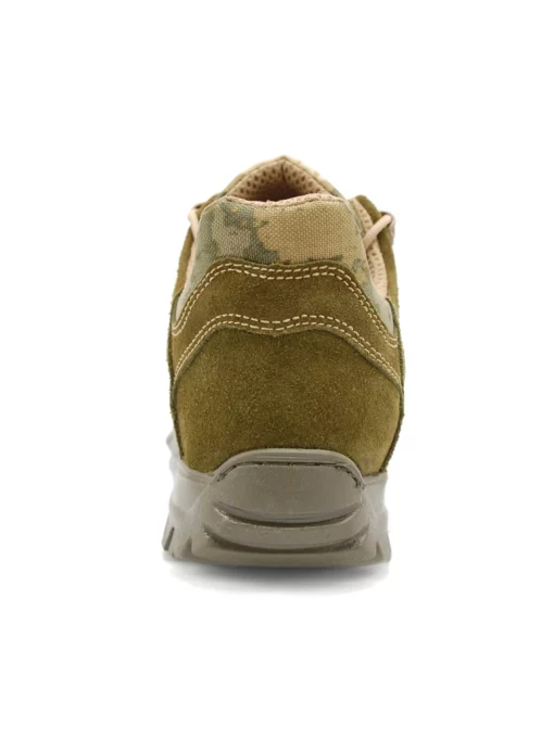 Garsing Traveler Moss 2024 - Ảnh 4