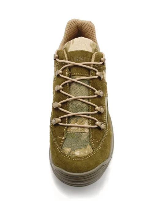 Garsing Traveler Moss 2024 - Ảnh 2